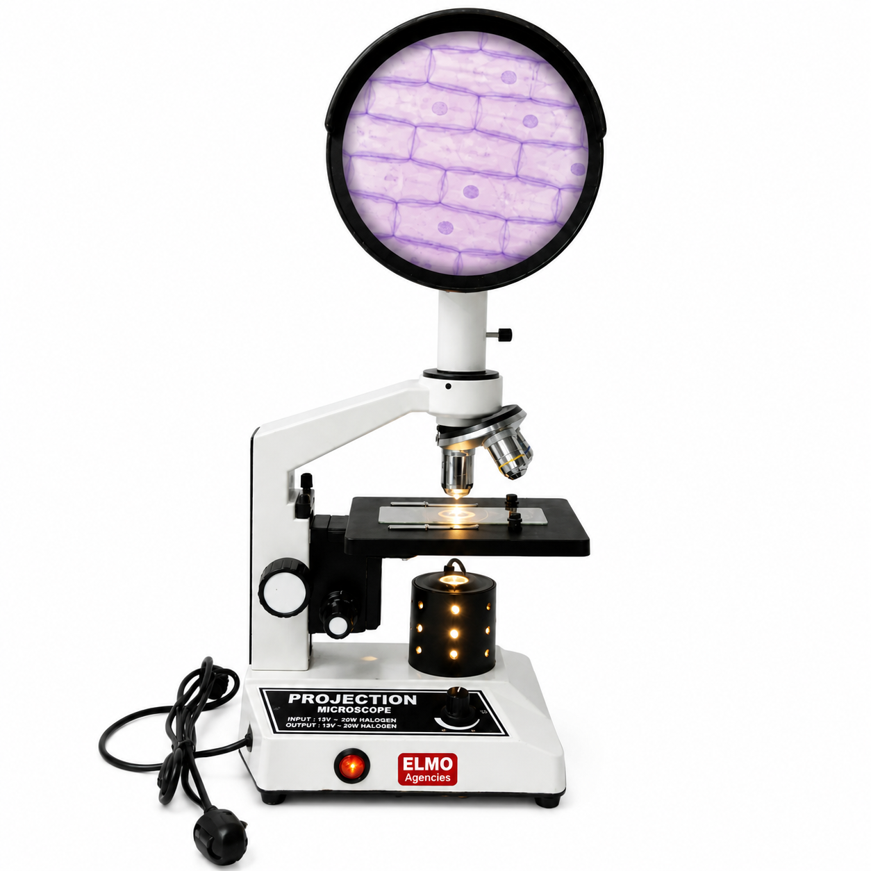 Projection Microscope