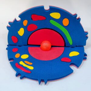 Buy Animal Cell Model