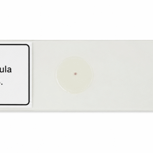 Buy Blastula Slide
