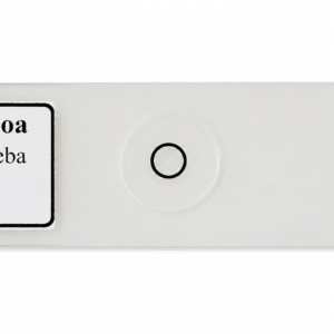 Buy Entamoeba Slide