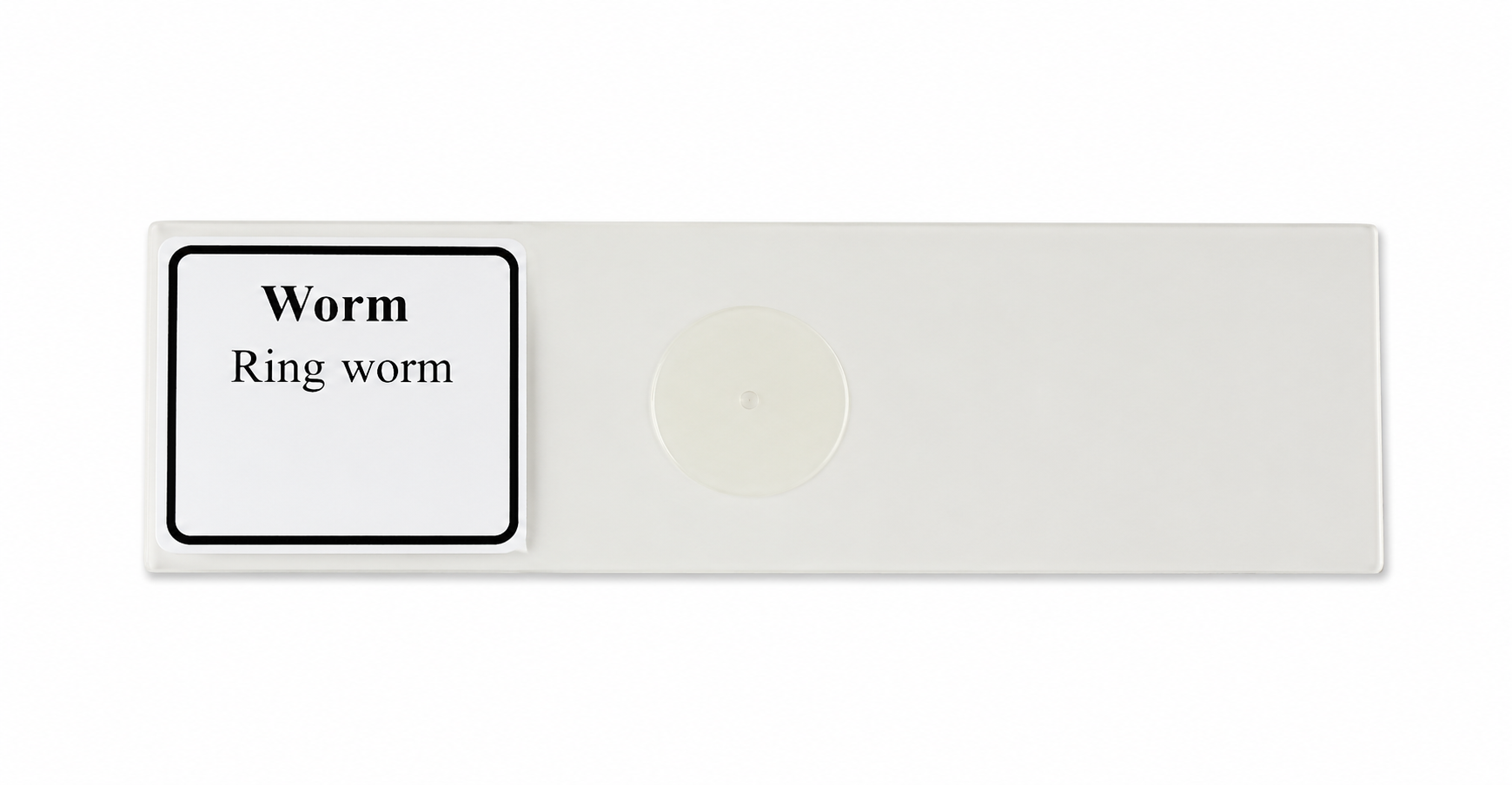 Buy Ringworm Slide