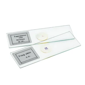 Buy Animal Tissue Slide