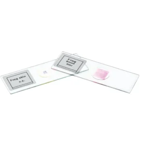 Buy Plant Tissue Slide